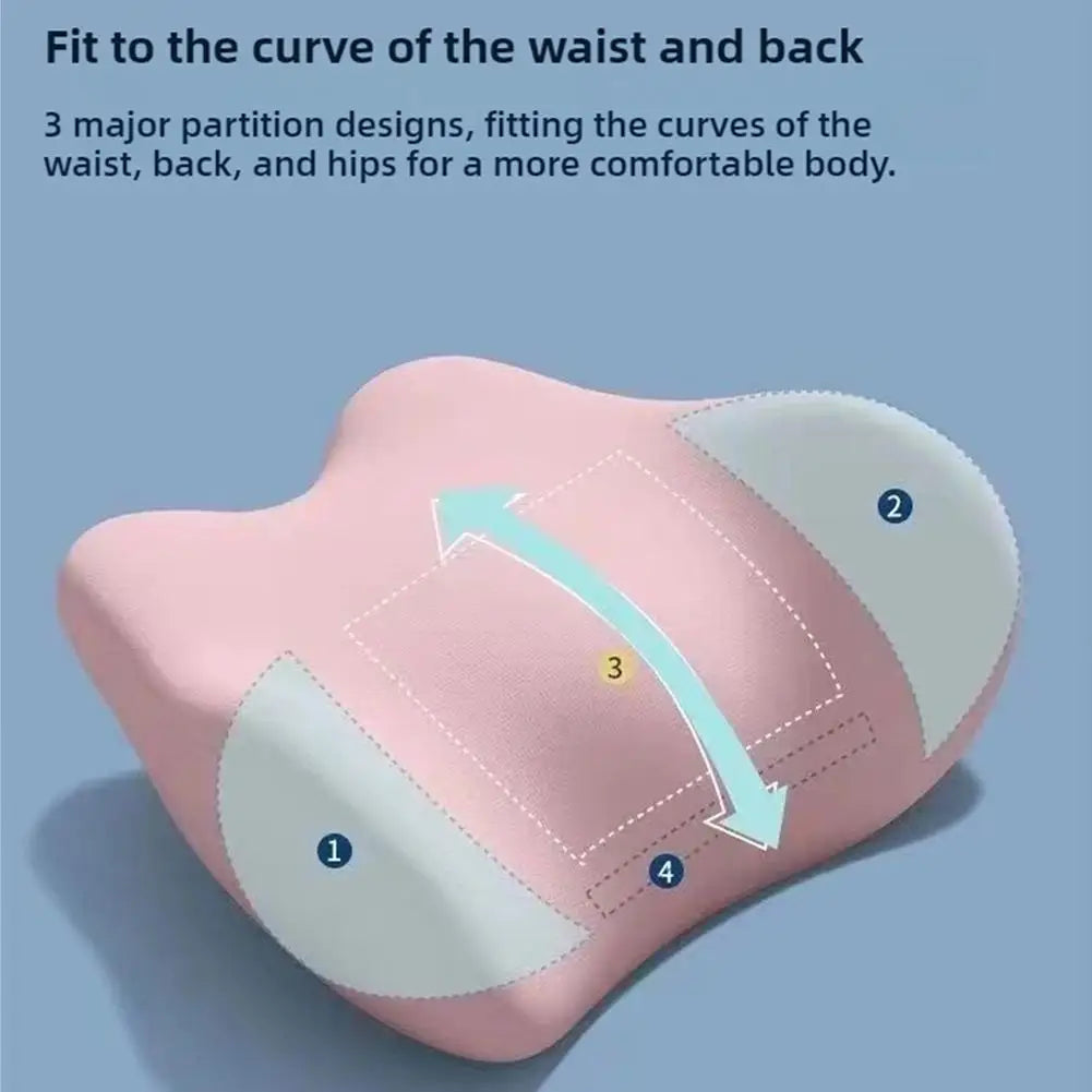 Ergonomic Back Pillow